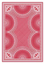 cat playing cards